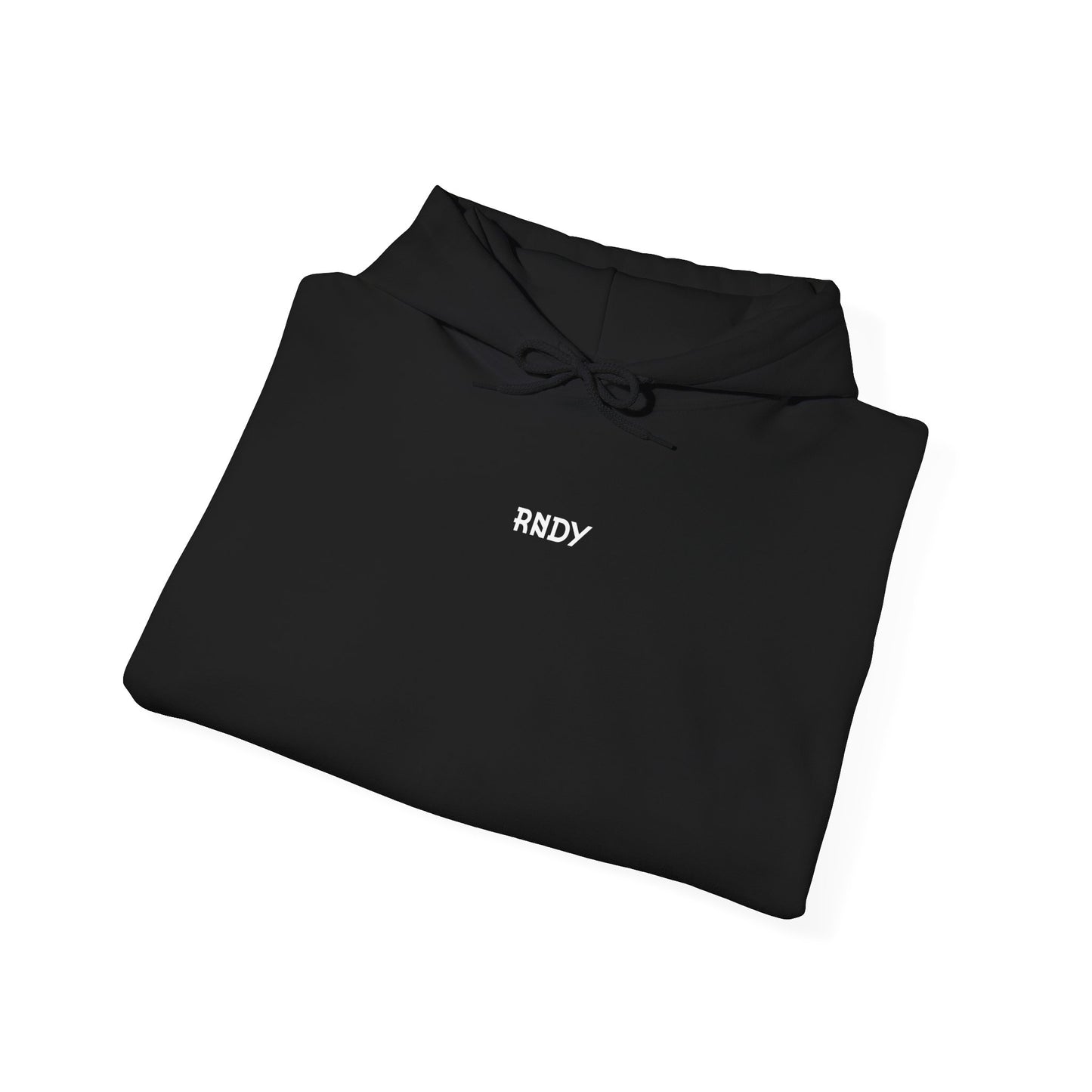 CODE LEARN EVOLVE Hoodie Sweatshirt