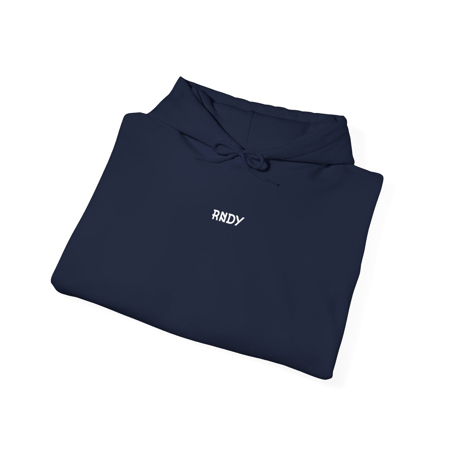 CODE LEARN EVOLVE Hoodie Sweatshirt